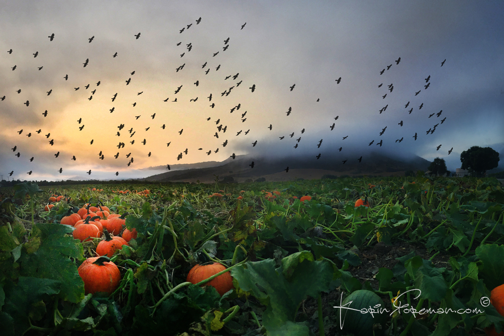 Four Seasons @ Santa Rosa Valley | karinforeman.com