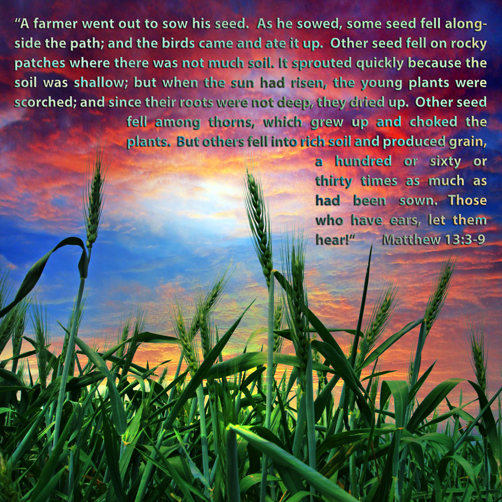 parable-of-the-sower-matthew-13-1-23